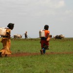kenya card 8gb 498