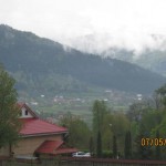 IMG_0547