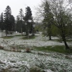 SAM_1806