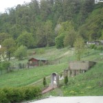 SAM_1867