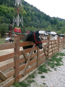 fundatia-serafim-roman-excursie-muntii-hasmasi021